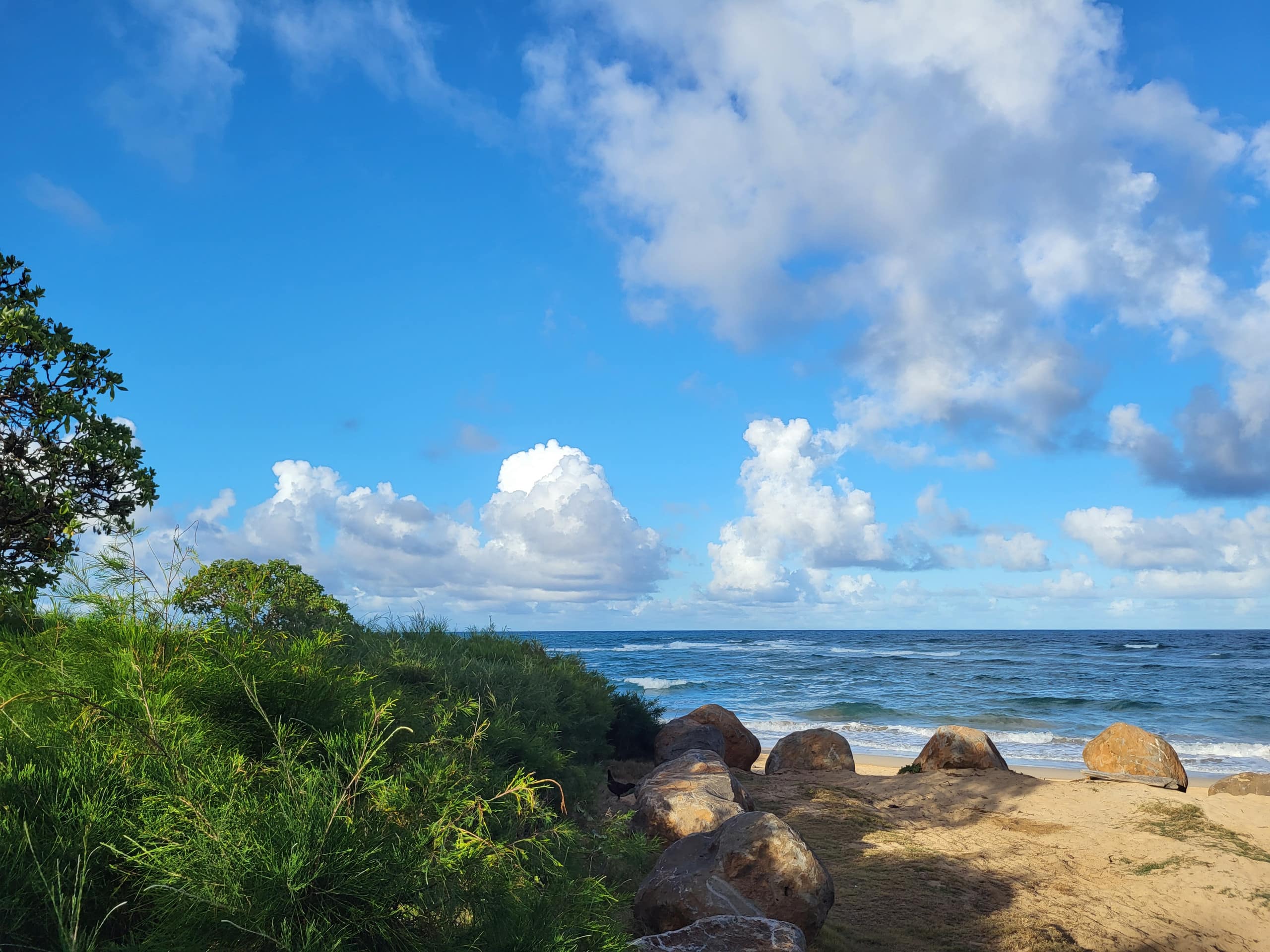 Heavenly Oceanfront 1 Bedroom Condo Pool & Beach - Photo 47
