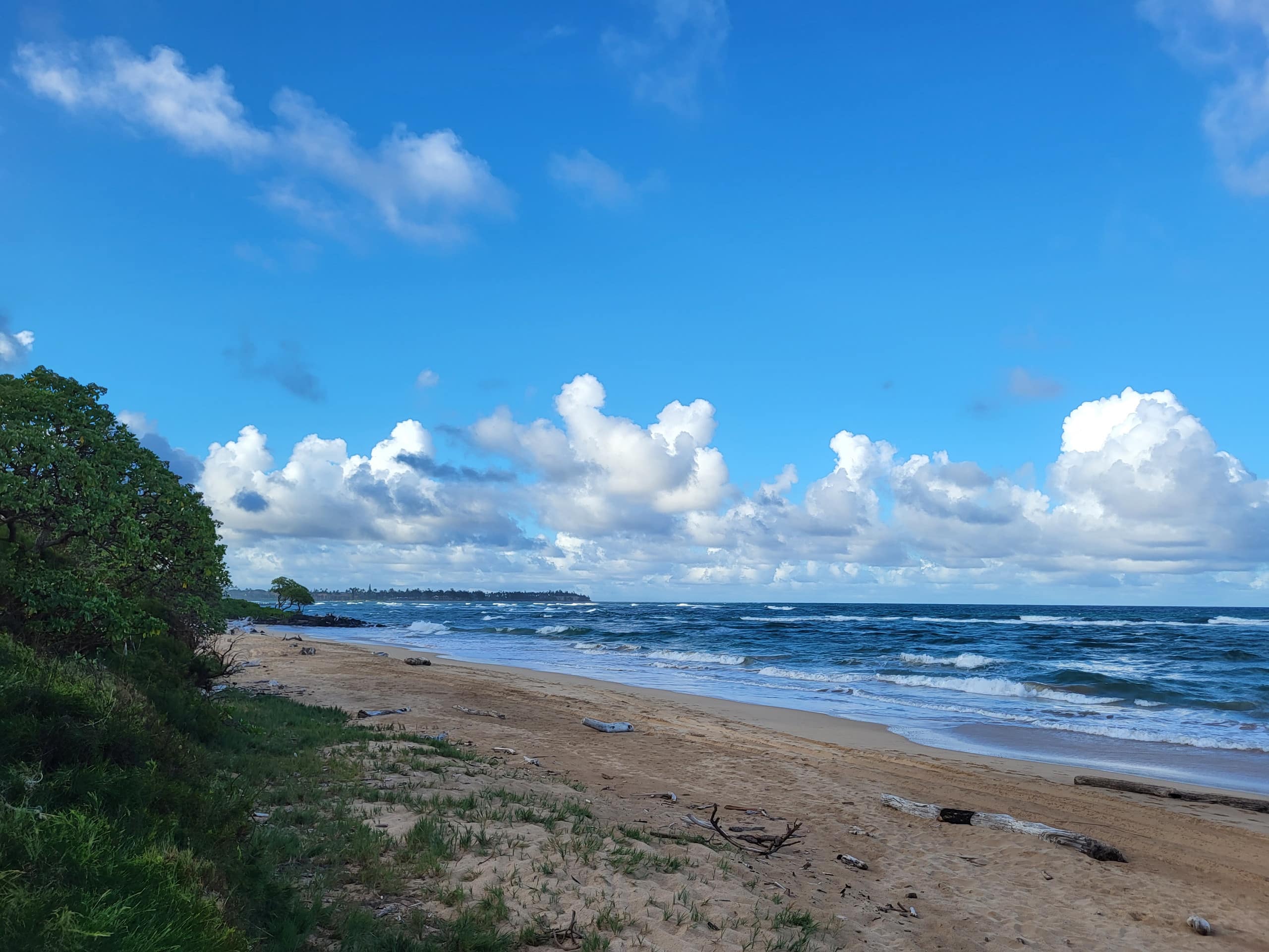 Heavenly Oceanfront 1 Bedroom Condo Pool & Beach - Photo 50