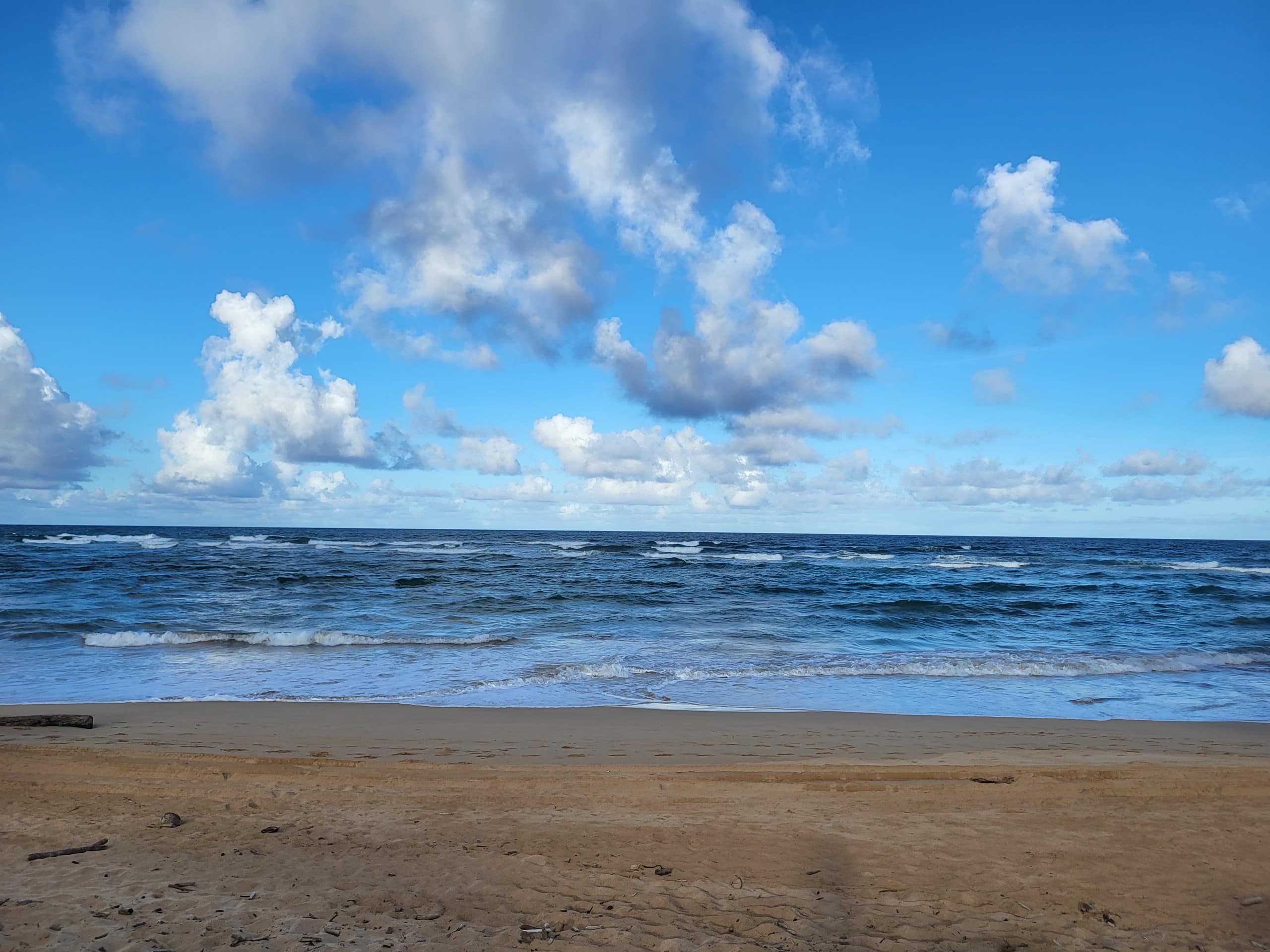 Heavenly Oceanfront 1 Bedroom Condo Pool & Beach - Photo 48