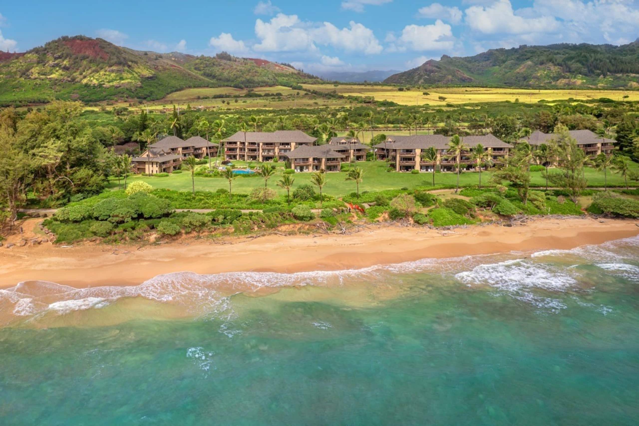 Heavenly Oceanfront 1 Bedroom Condo Pool & Beach - Photo 42