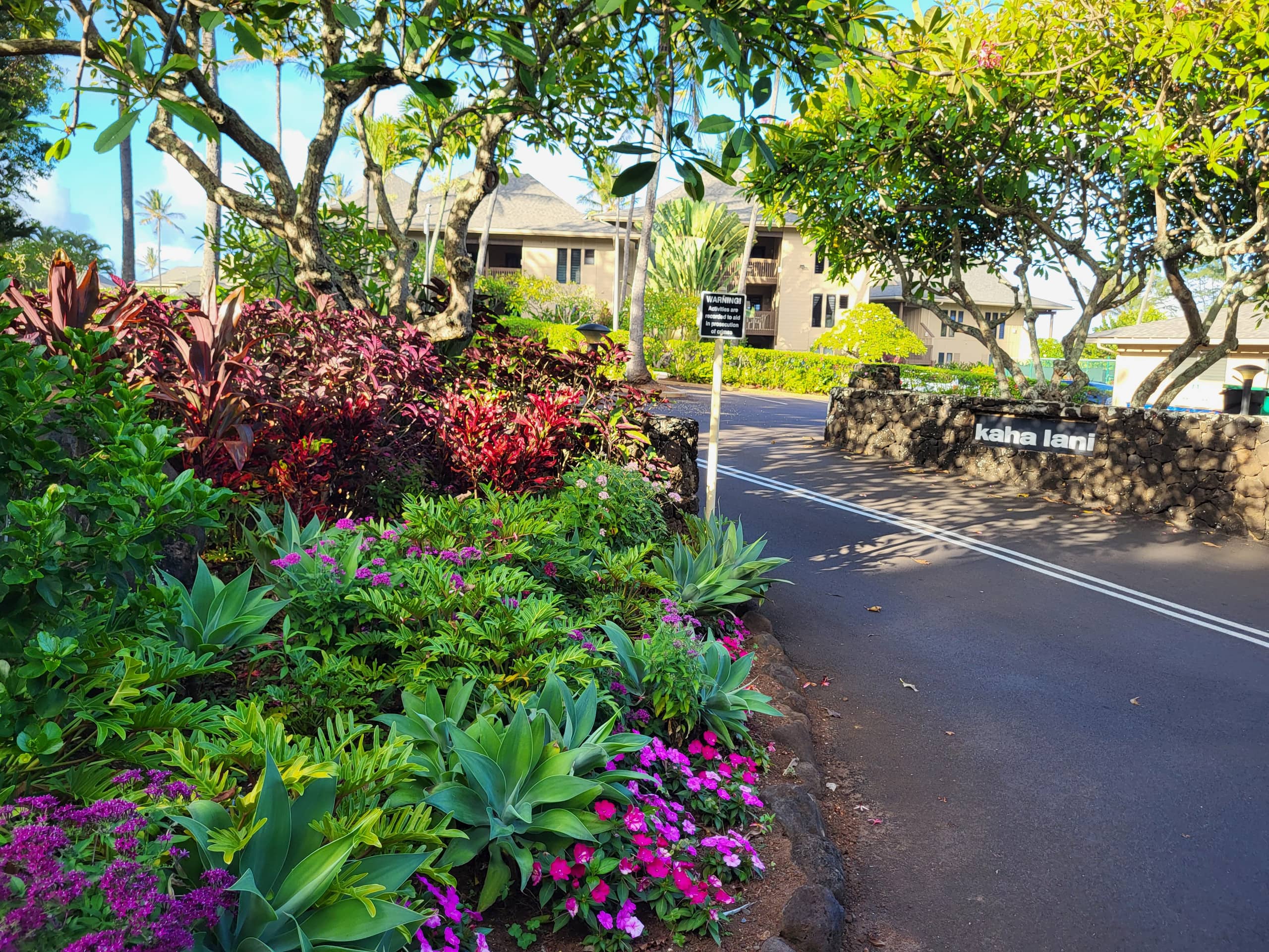 Heavenly Oceanfront 1 Bedroom Condo Pool & Beach - Photo 66