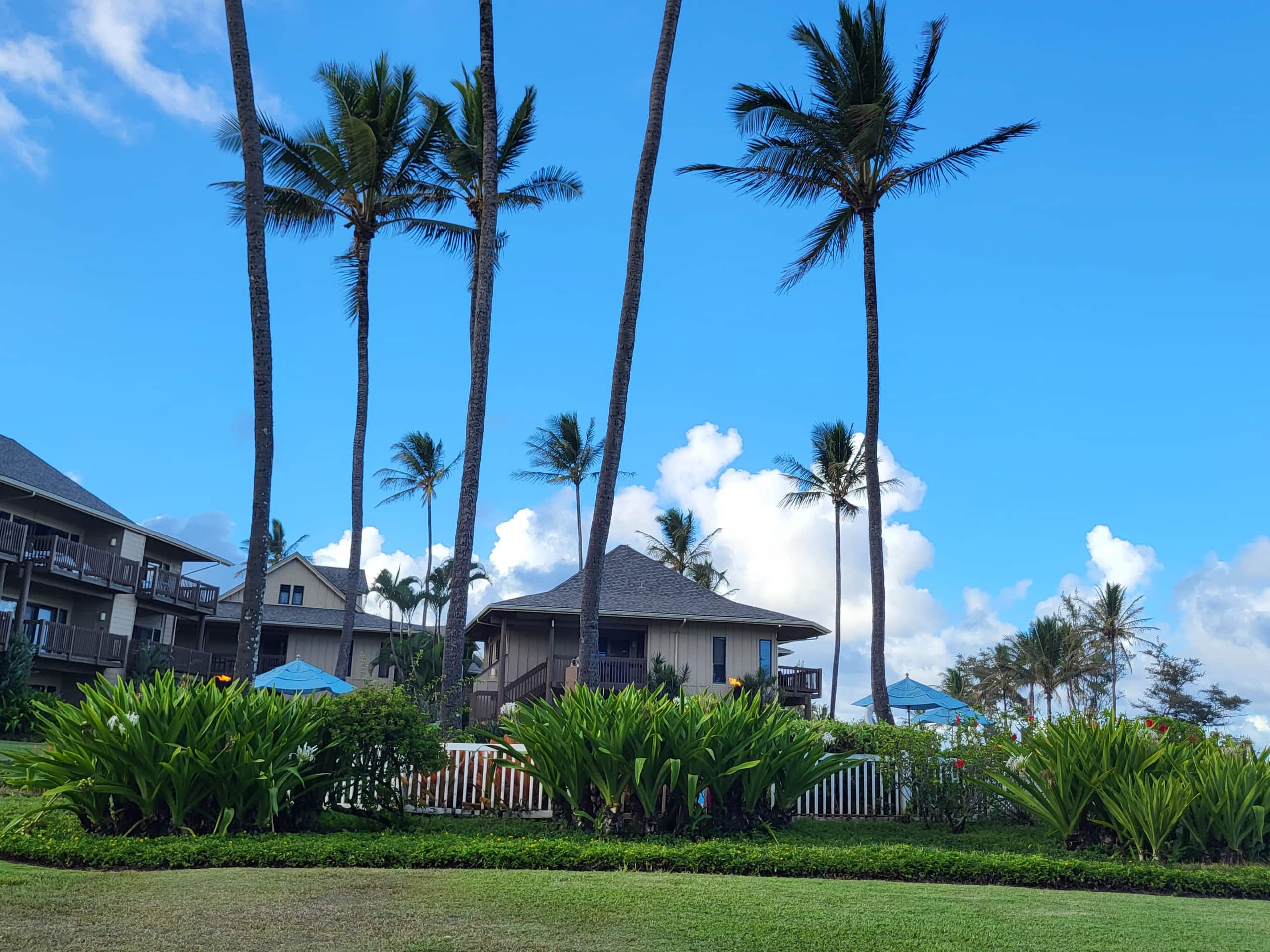 Heavenly Oceanfront 1 Bedroom Condo Pool & Beach - Photo 34