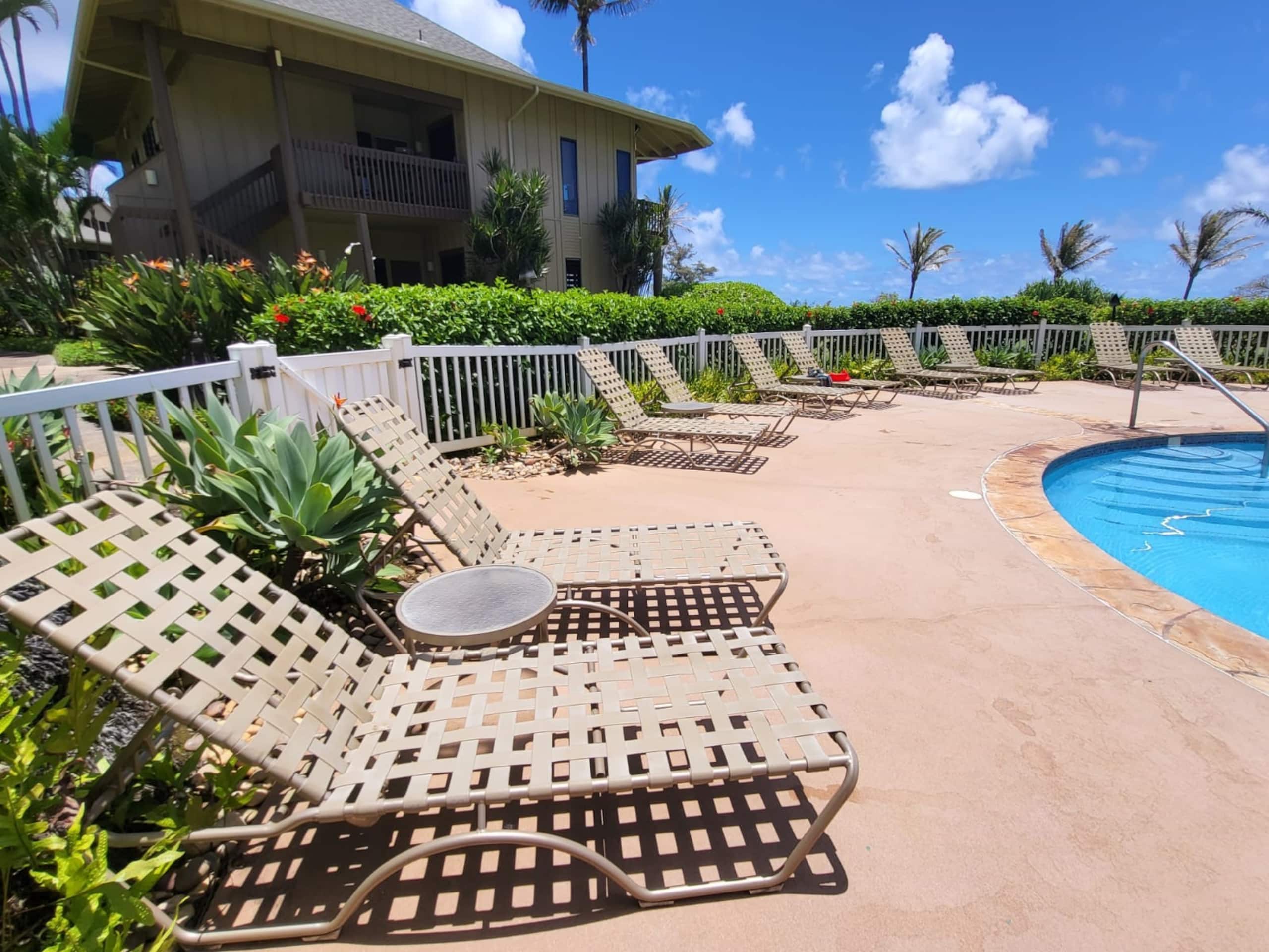 Heavenly Oceanfront 1 Bedroom Condo Pool & Beach - Photo 81