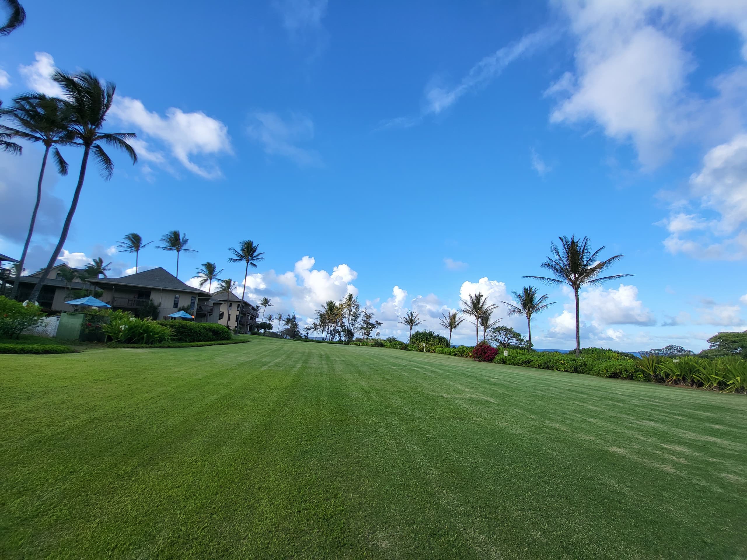 Heavenly Oceanfront 1 Bedroom Condo Pool & Beach - Photo 32
