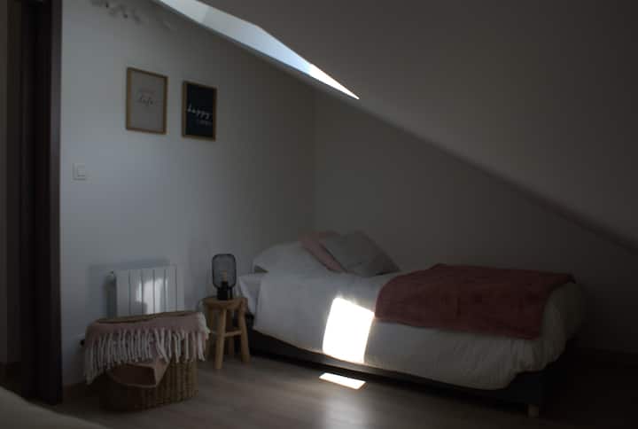 Habitación con 2 camas individuales 