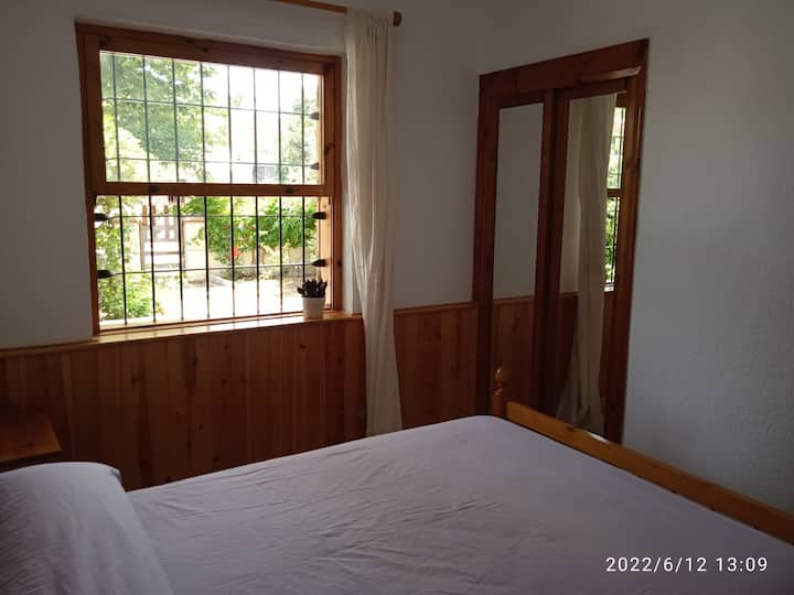 إطلالة على الحديقة لغرفة النوم الرئيسية في المنزل.