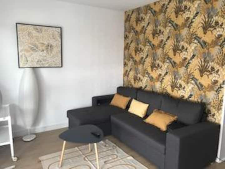 Plage Et Centre. Studio Moderne ( 2+2) + Balcon. - Mimizan Plage