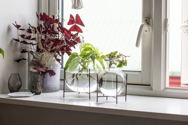 Beautiful Central Apartment With Cute Balcony - Oslo