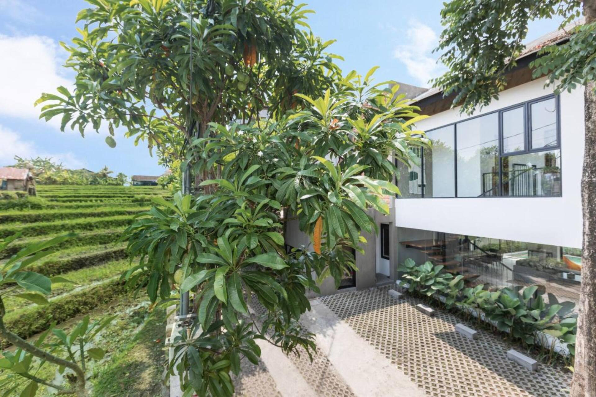 Grand Modern Sanctuary 5 Bedroom Private Villa in Canggu 3