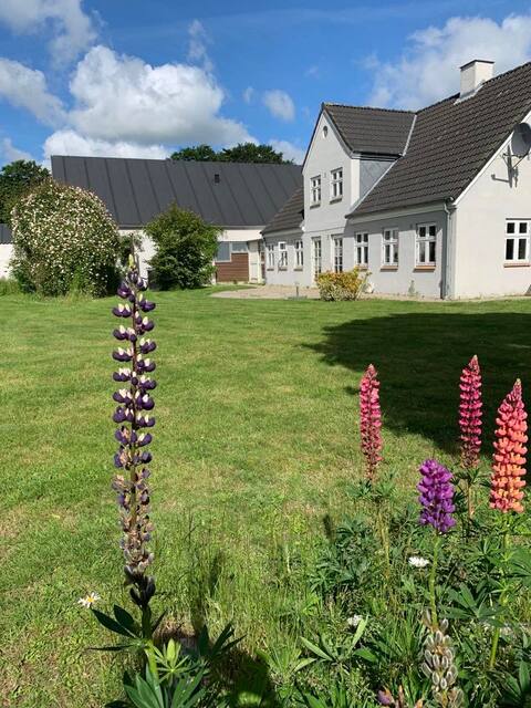 Wonderful house in beautiful surroundings