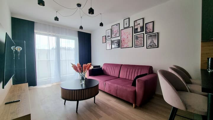 Kt103/72 Apartament Z Jedną Sypialnią I Salonem - カトヴィツェ