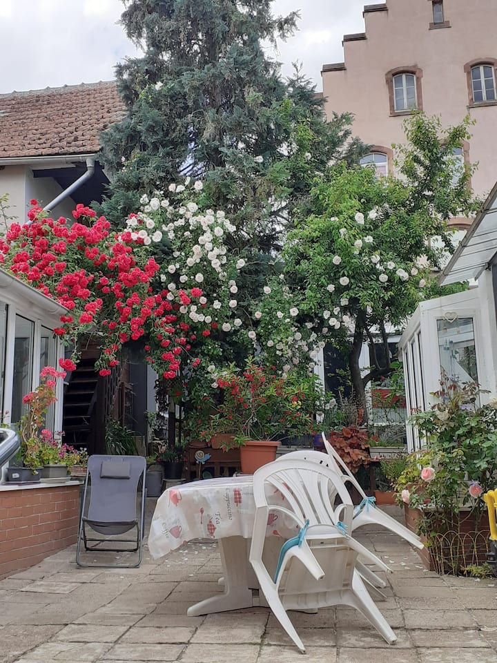 Gite between Strasbourg and Colmar . Guesthouses for Rent in Mutzig