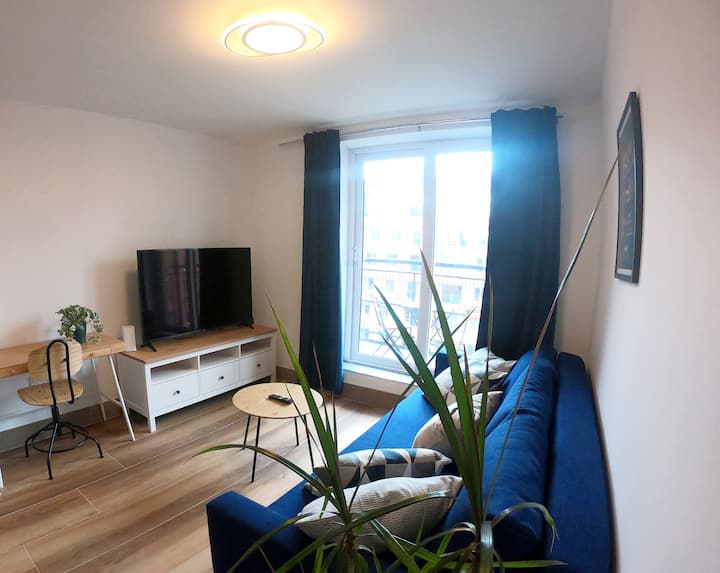 Designer Apartment W/balcony In The Ifsc - Dublin