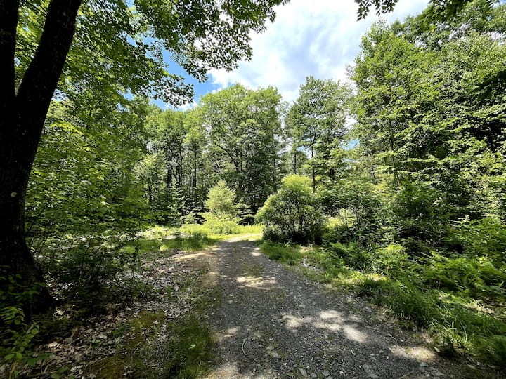 Peaceful Catskills Cabin Glamping Retreat Tiny houses for Rent in Saugerties, New York, United