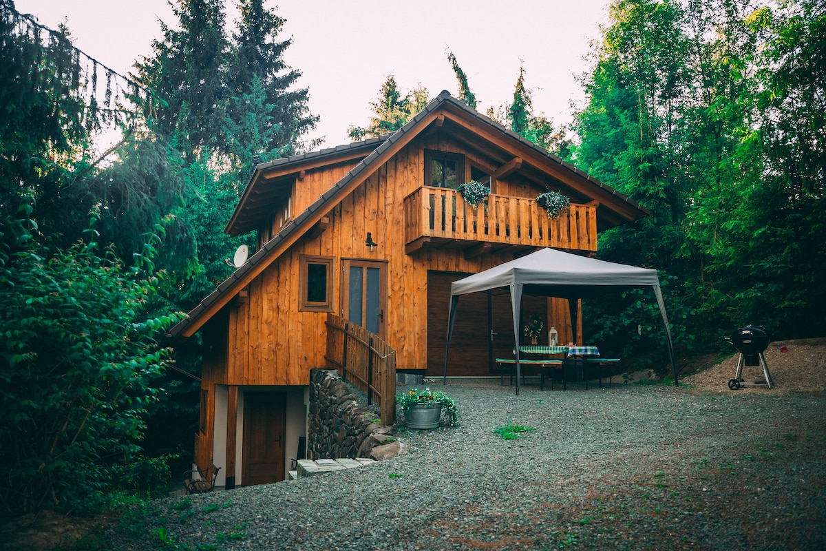 The exterior of a wooden house is framed by lush greenery, showcasing a spacious entrance and a deck with a protective overhang. A gravel driveway leads to the entrance, complemented by a seating area beside a barbecue grill.