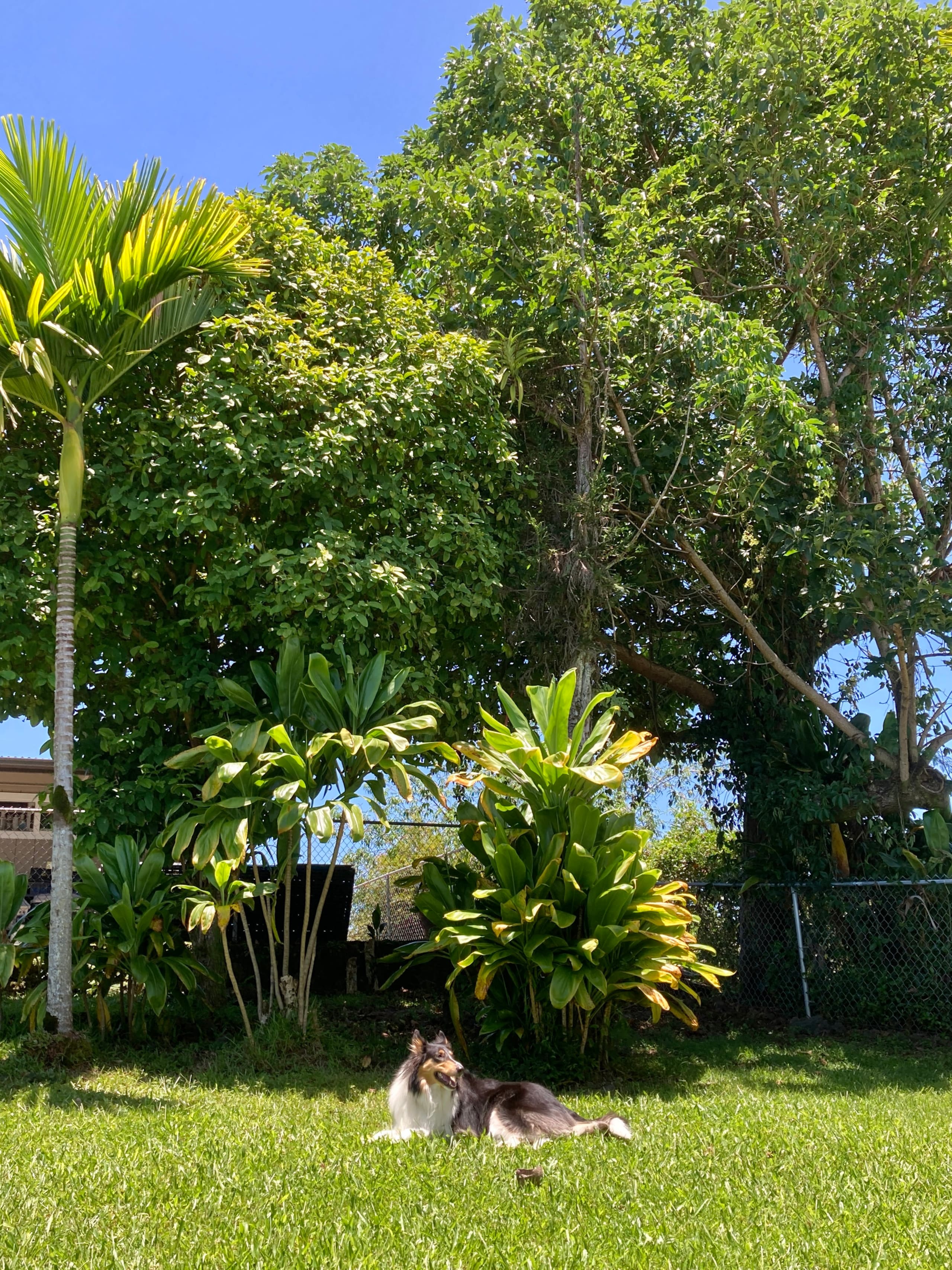 Fully Remodeled Spacious Suite in Hilo W/AC - Image 11