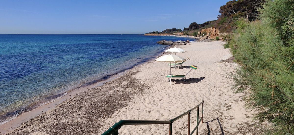 A sandy beach stretches along a clear blue coastline, with gentle waves lapping at the shore. Two umbrellas are positioned near the water, accompanied by lounge chairs, providing a peaceful spot for relaxation. Lush greenery borders the beach, enhancing the serene environment.