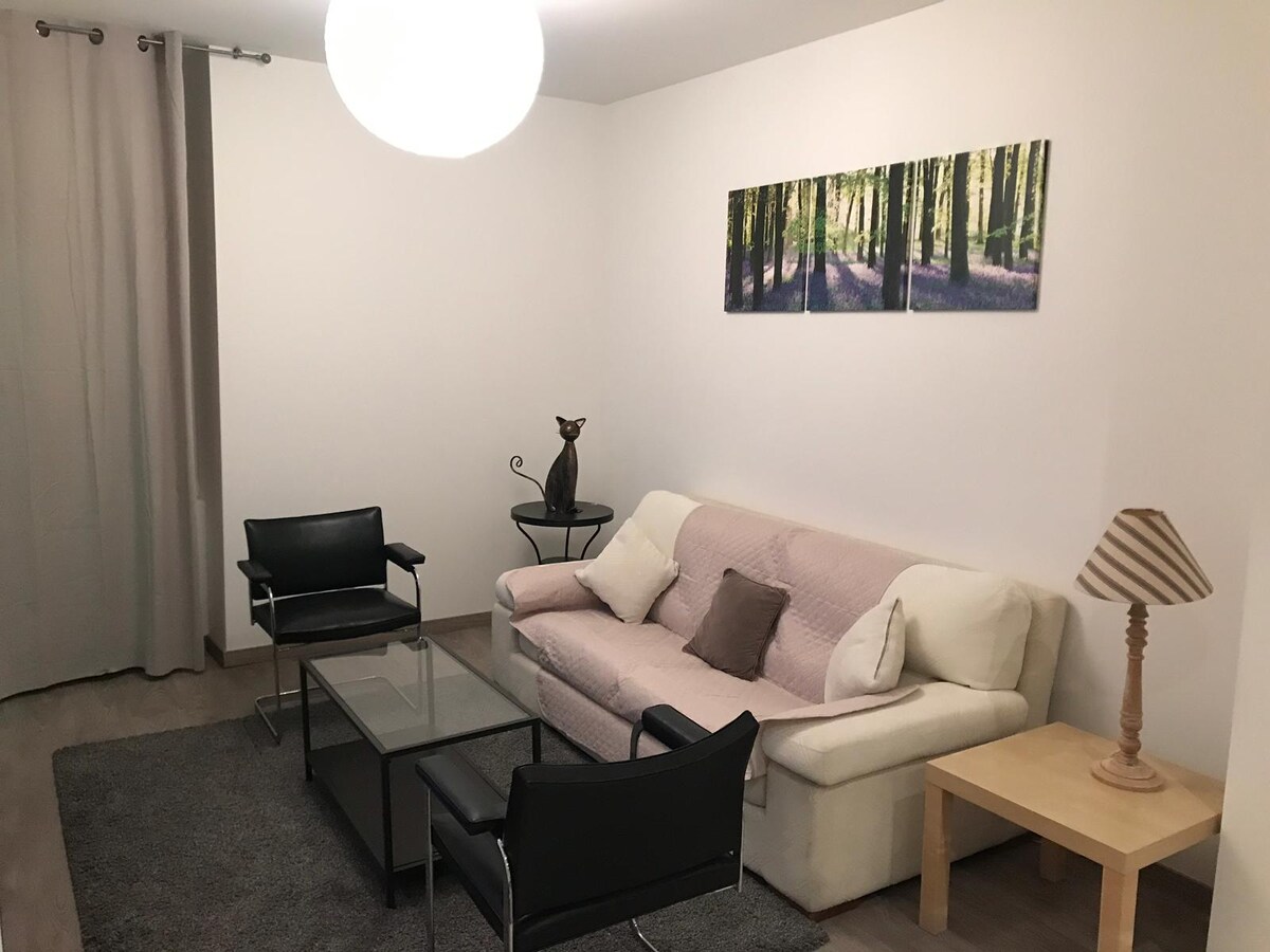 Successful Airbnb property: 2-bedroom apartment in the center of Annemasse (1) in Annemasse