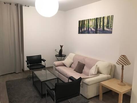 Propriété Airbnb réussie: 2-bedroom apartment in the center of Annemasse (1) à Annemasse