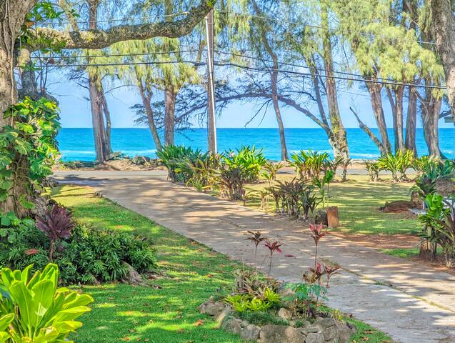 Hale Aloha w/Ocean Views – steps to beach TVR 1051 gallery image 4