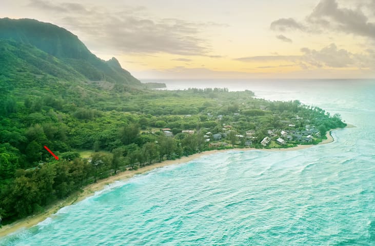 Hale Aloha w/Ocean Views – steps to beach TVR 1051