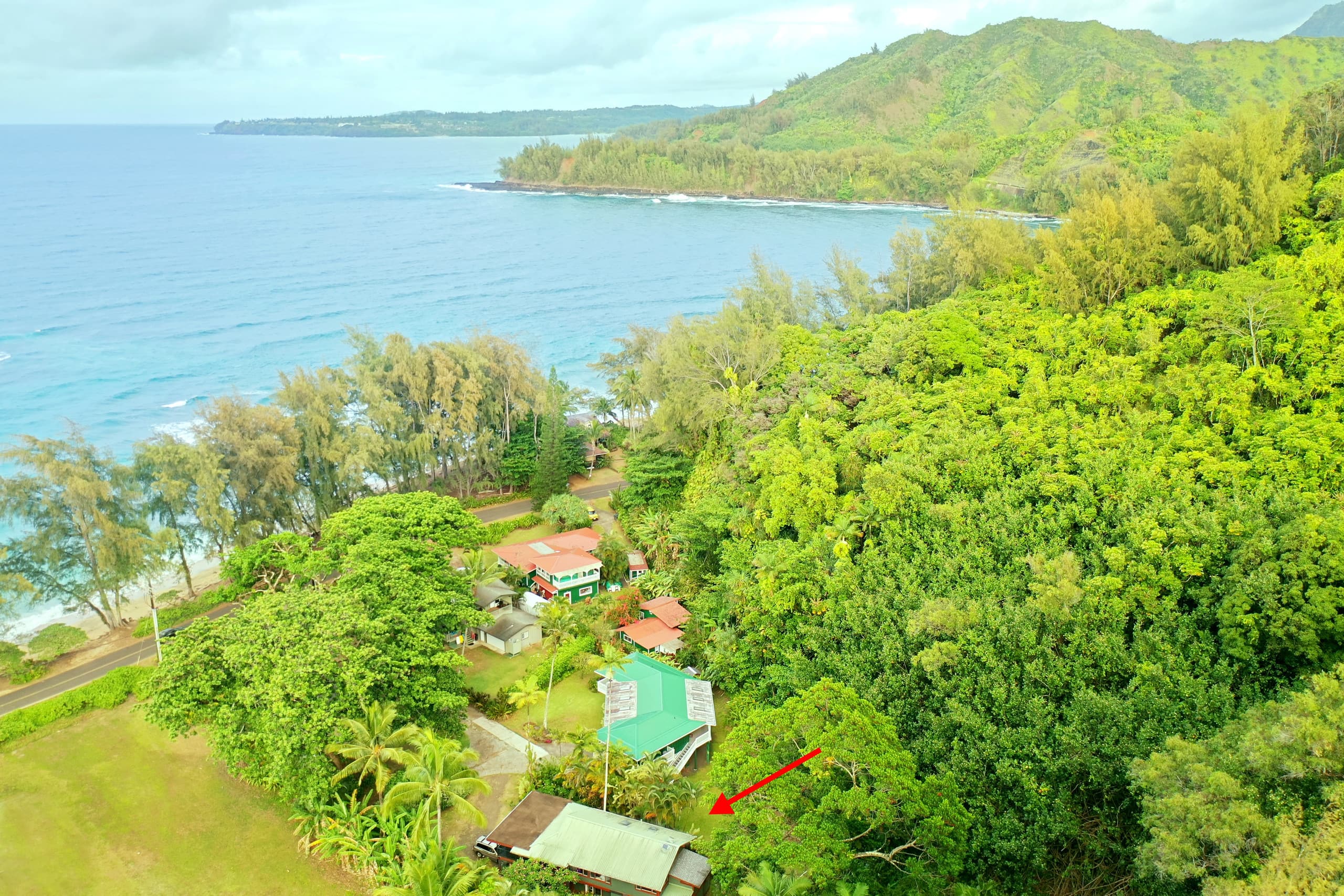 Home in Hanalei · ★4.98 · 4 bedrooms · 4 beds · 2 baths - Photo 48