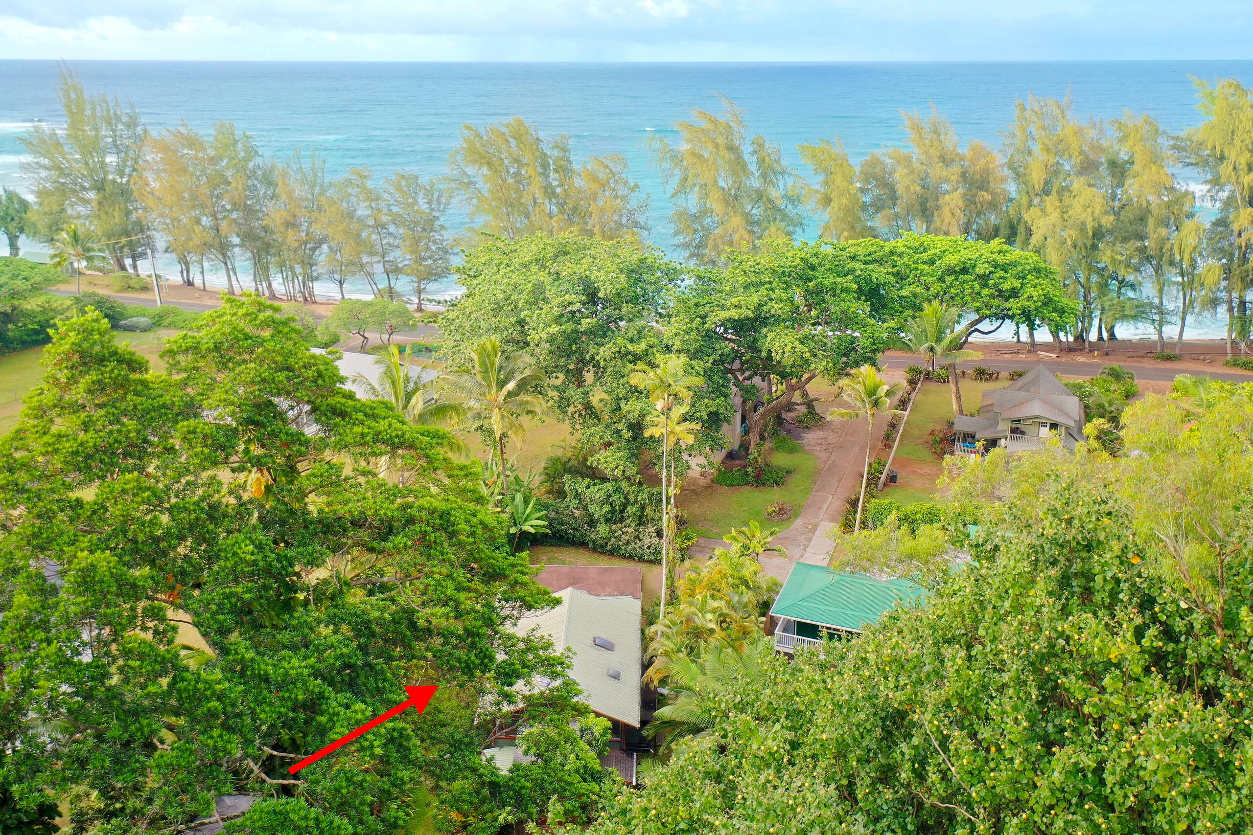 Home in Hanalei · ★4.98 · 4 bedrooms · 4 beds · 2 baths - Photo 47