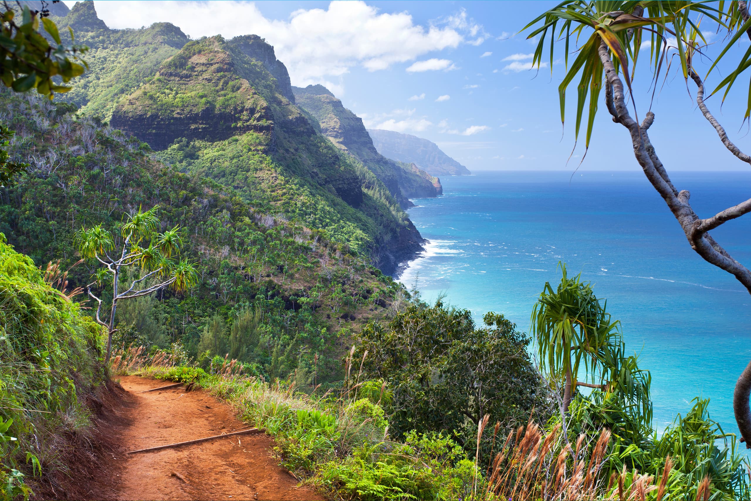 Home in Hanalei · ★4.98 · 4 bedrooms · 4 beds · 2 baths - Photo 35