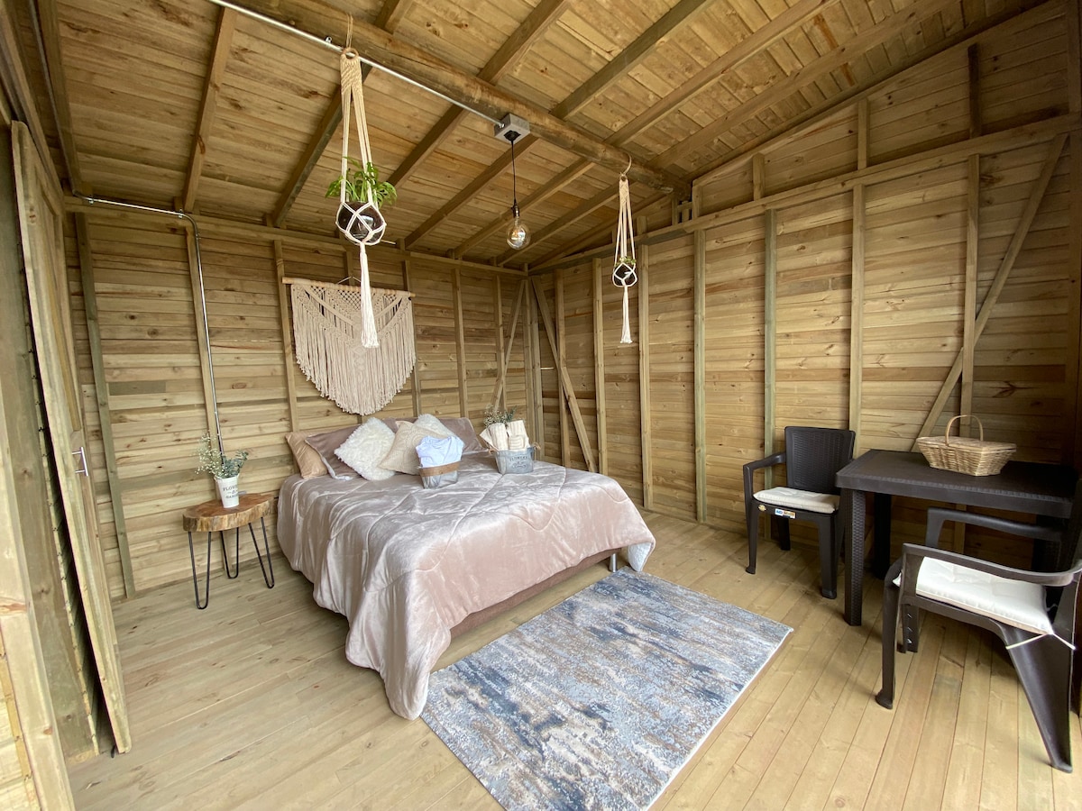 A wooden interior features a spacious bed draped with a light-colored comforter and decorative pillows. A small side table holds a potted plant. In the corner, a simple dining area consists of a table and chair, while a rug adds a cozy touch to the floor.