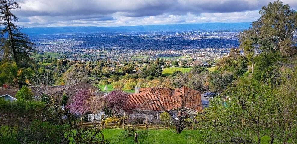 Peaceful Residence overlooking City gallery image 4