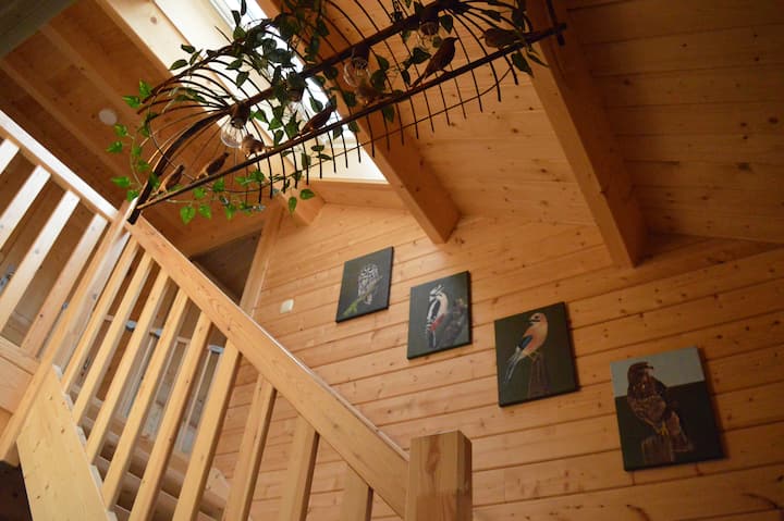 Peace and quiet at the Veluwse Vogels in Epe