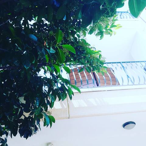 Casa MG