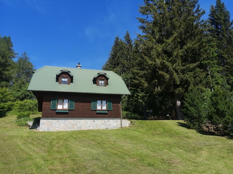 Stiegel Almhaus