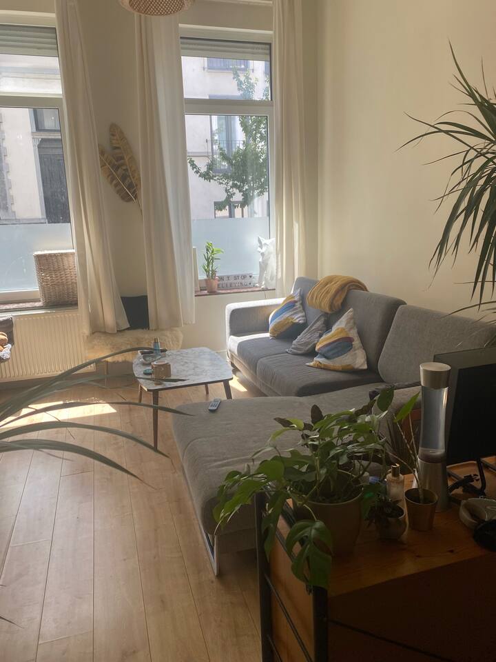 Beautiful one bedroom apartment Place Jourdan Apartments for Rent in