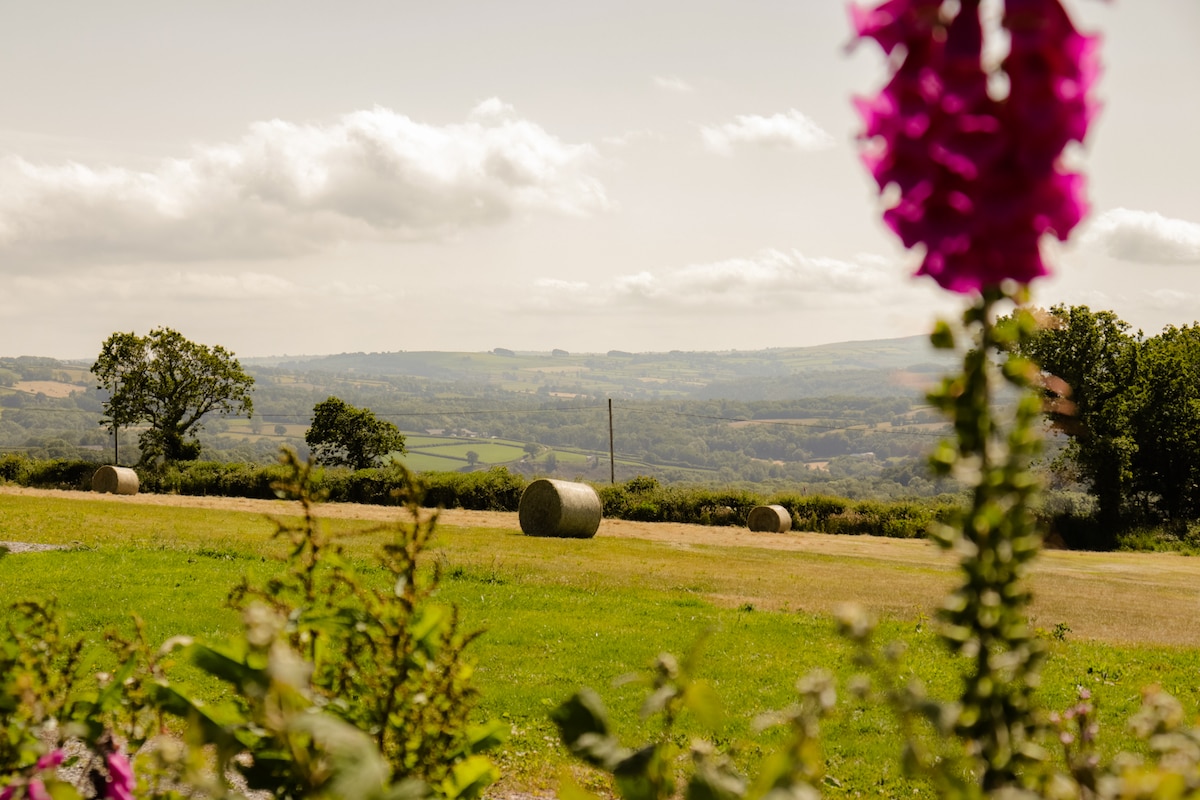 europe-bus-vacation-rentals-airbnb