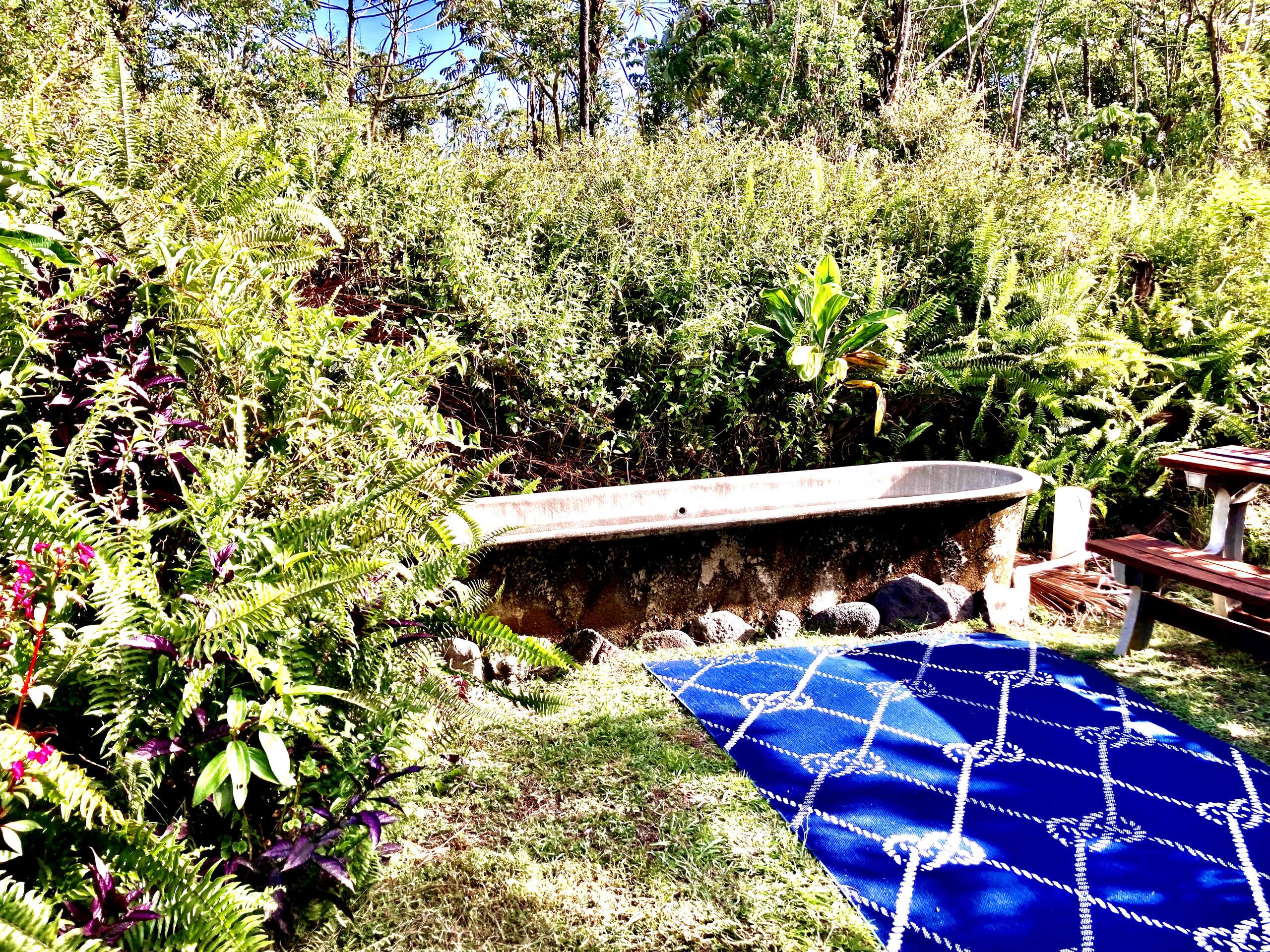 Home in Pahoa · ★4.93 · 4 bedrooms · 7 beds · No bathroom - Image 28