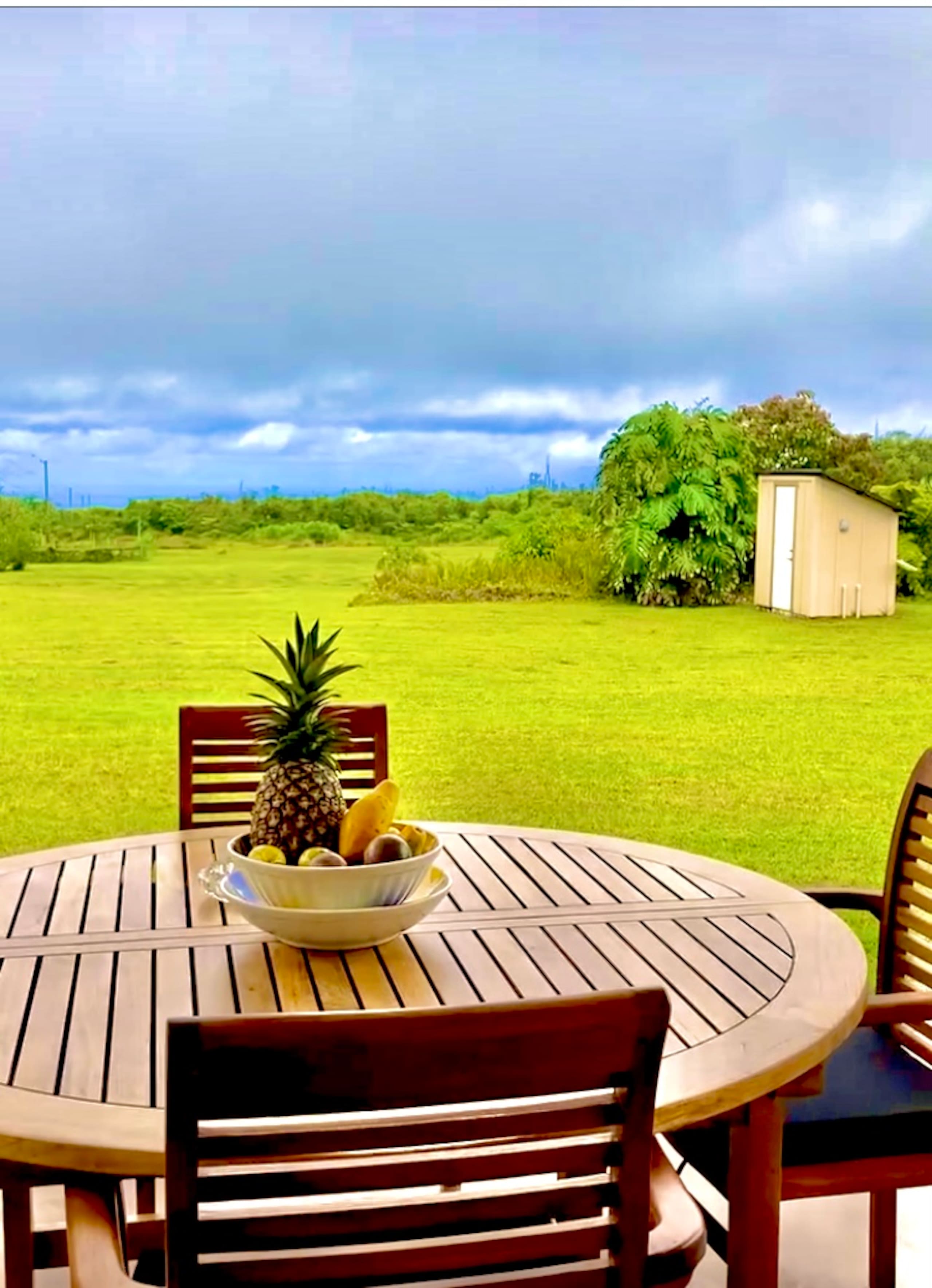 Home in Pahoa · ★4.93 · 4 bedrooms · 7 beds · No bathroom - Image 7