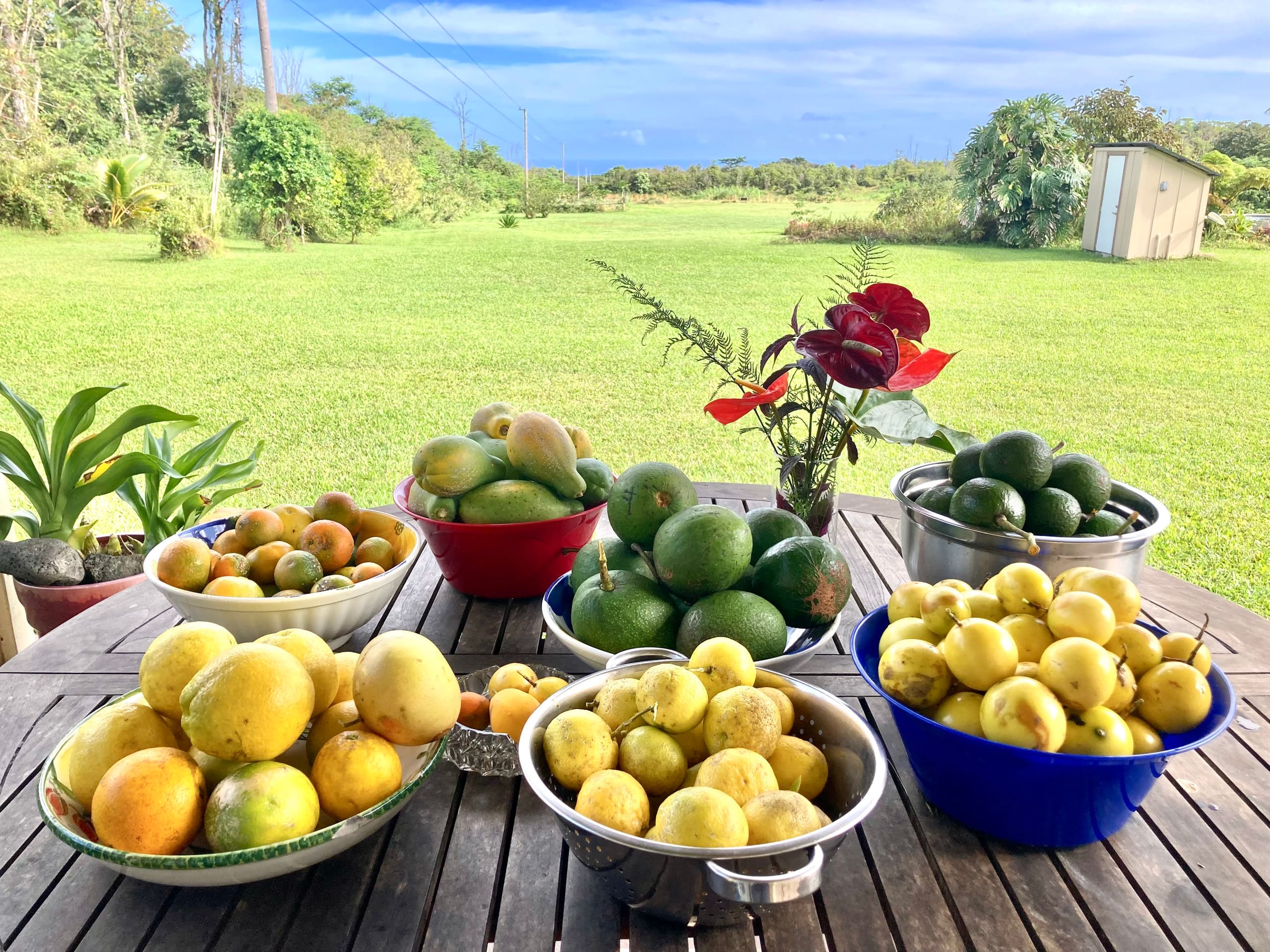 Home in Pahoa · ★4.93 · 4 bedrooms · 7 beds · No bathroom - Image 19