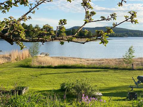 Nice cabin with sauna and private jetty by the sea.
