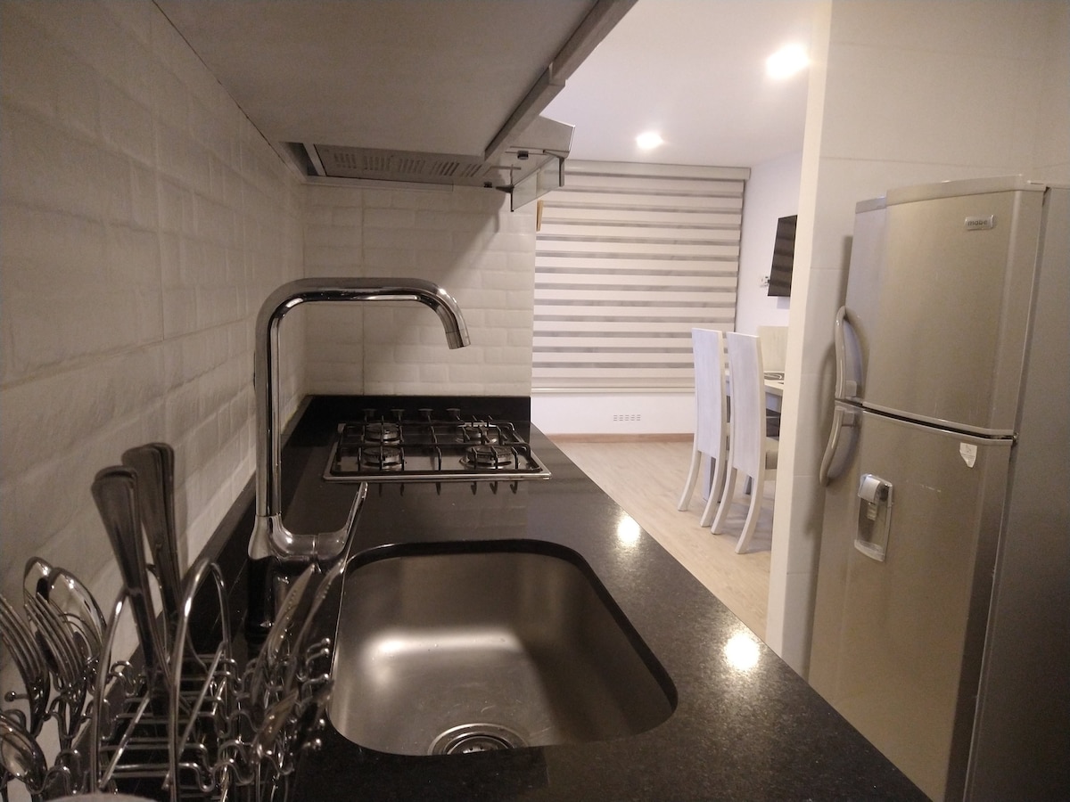 The kitchen features sleek granite countertops and a stainless steel sink. A modern gas stove is situated to the left, while a refrigerator stands adjacent to it. Reflections of silver utensils are visible in the dish rack beside the sink, enhancing the contemporary design.