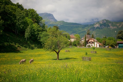 Gite de la Santon