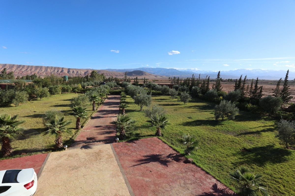 A scenic view of the property's expansive grounds is presented, featuring a pathway lined with palm trees. The lush green landscape is bordered by mountains in the distance under a clear blue sky.
