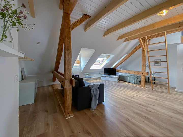 Charming Attic Studio With Best Location On 54sqm - Kiel