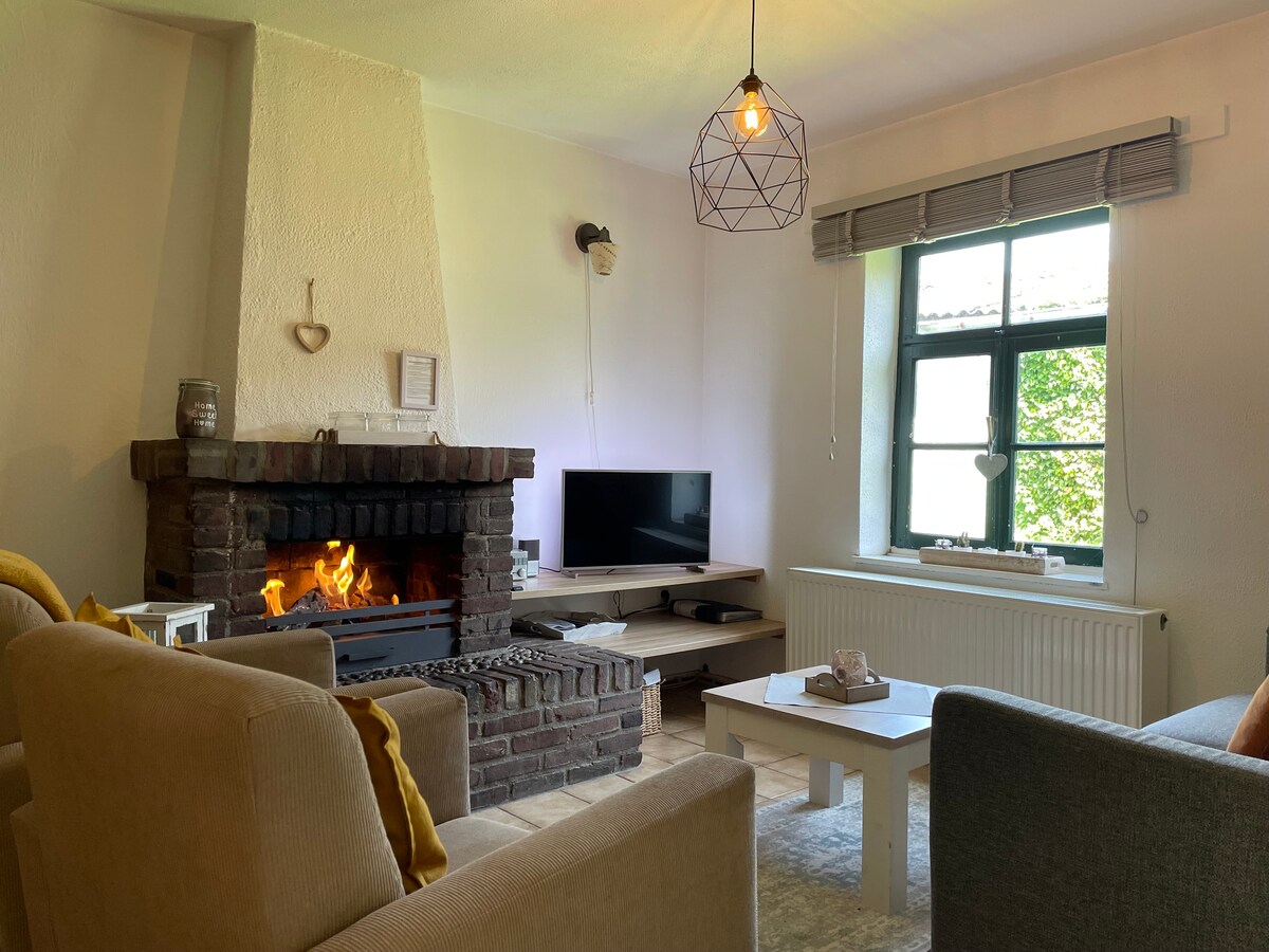 A cozy living area features a brick fireplace with a visible fire, creating a warm focal point. Two comfortable sofas are arranged around a light table, while a television and a window are positioned nearby, allowing for natural light to flow in.