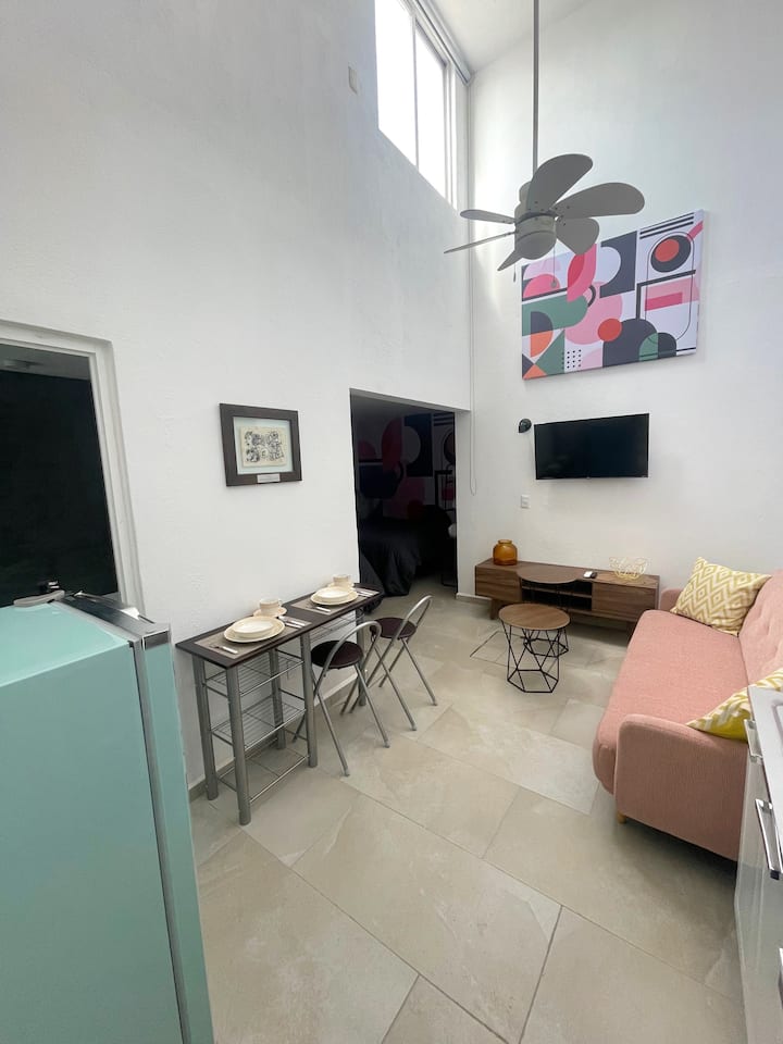 Loft Polanco Parque 1 Serviced apartments for Rent in San Luis Potosí