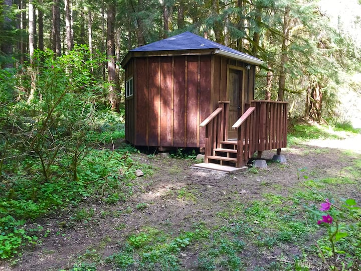 Top 4 Yurts Near Mount Rainier, Washington Updated 2024 Trip101