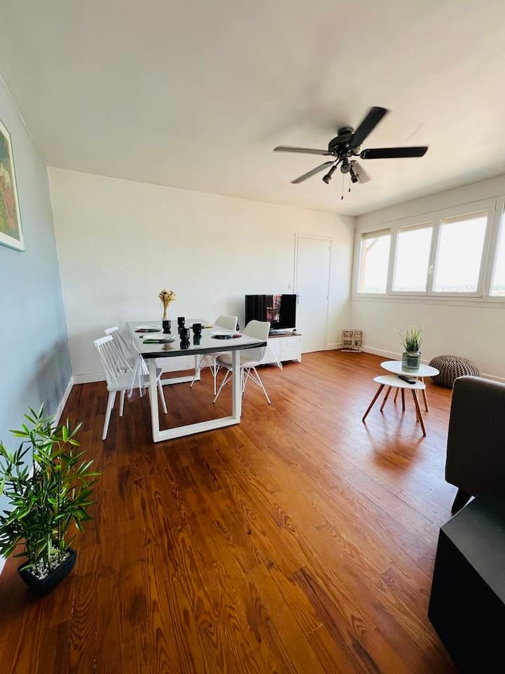 Albi : Superbe Appartement Idéalement Situé. - Albi