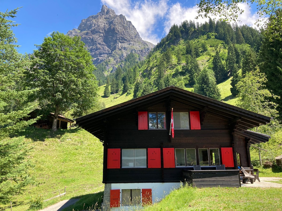 A charming wooden cabin features red window shutters, surrounded by lush greenery. Majestic mountains rise in the background, creating a serene landscape. A spacious deck with a flag adds to the welcoming feel of the rustic setting.