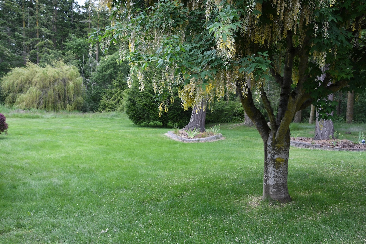 A spacious, grassy yard is framed by trees, creating a serene environment. A flowering tree stands prominently, surrounded by lush green grass. The area offers ample space for outdoor activities, with subtle landscaping elements enhancing the natural beauty.