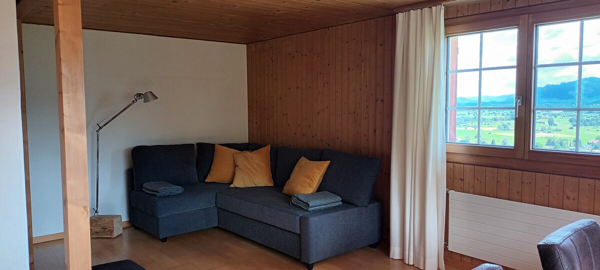 Popular Airbnb listing: Stylish apartment with a view in St. Gallen